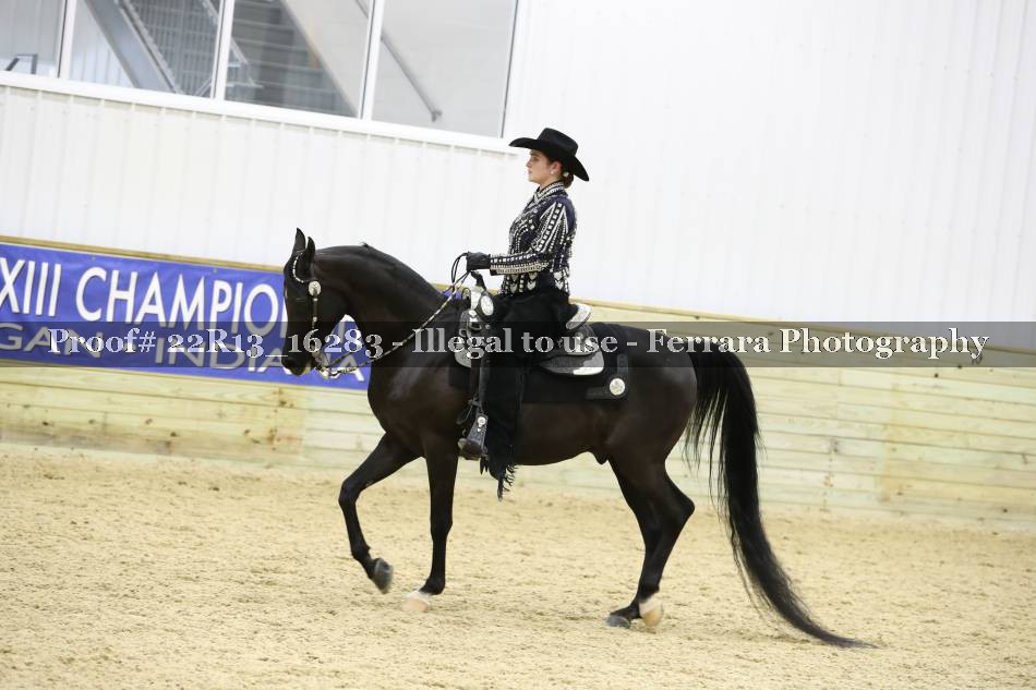 Proof 22R13_16283