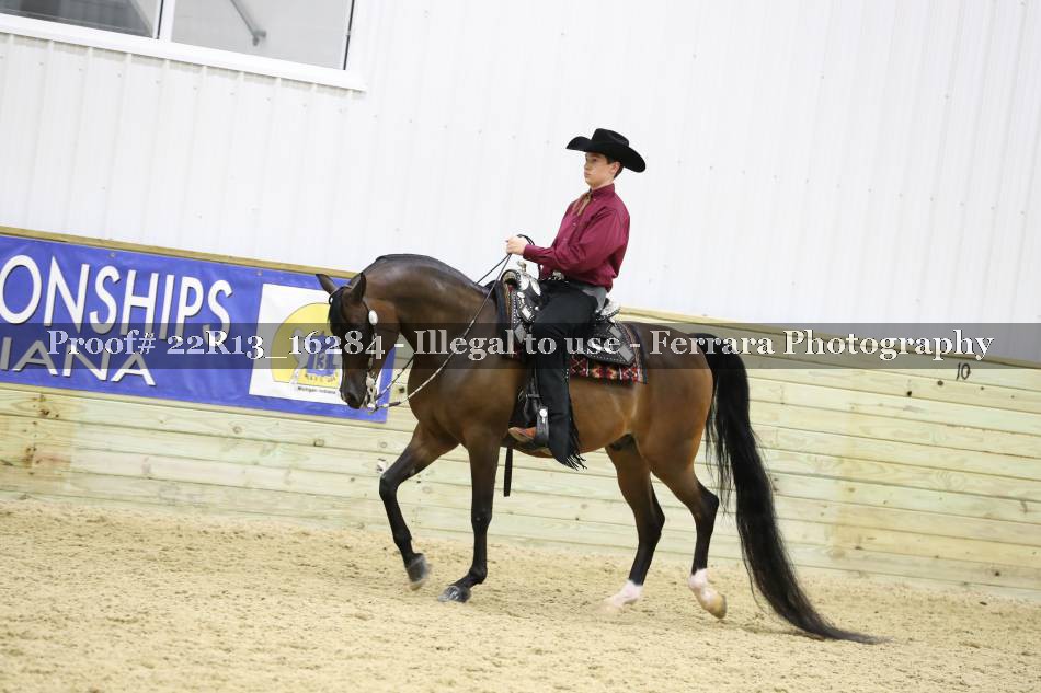 Proof 22R13_16284
