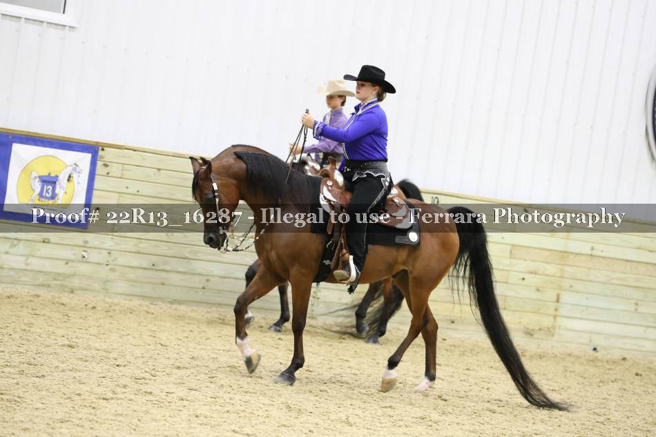 Proof 22R13_16287
