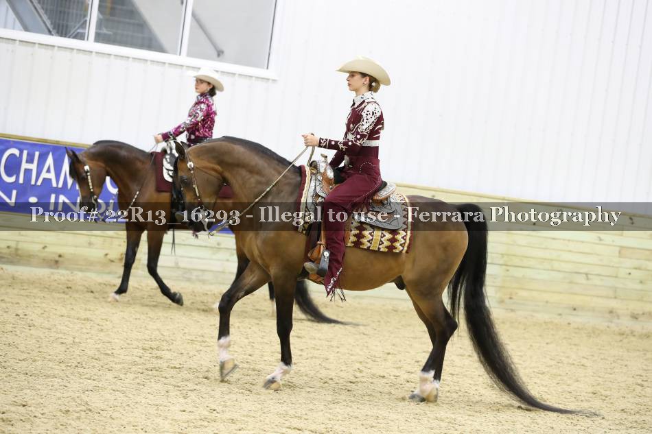 Proof 22R13_16293