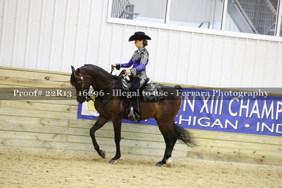 Proof 22R13_16296