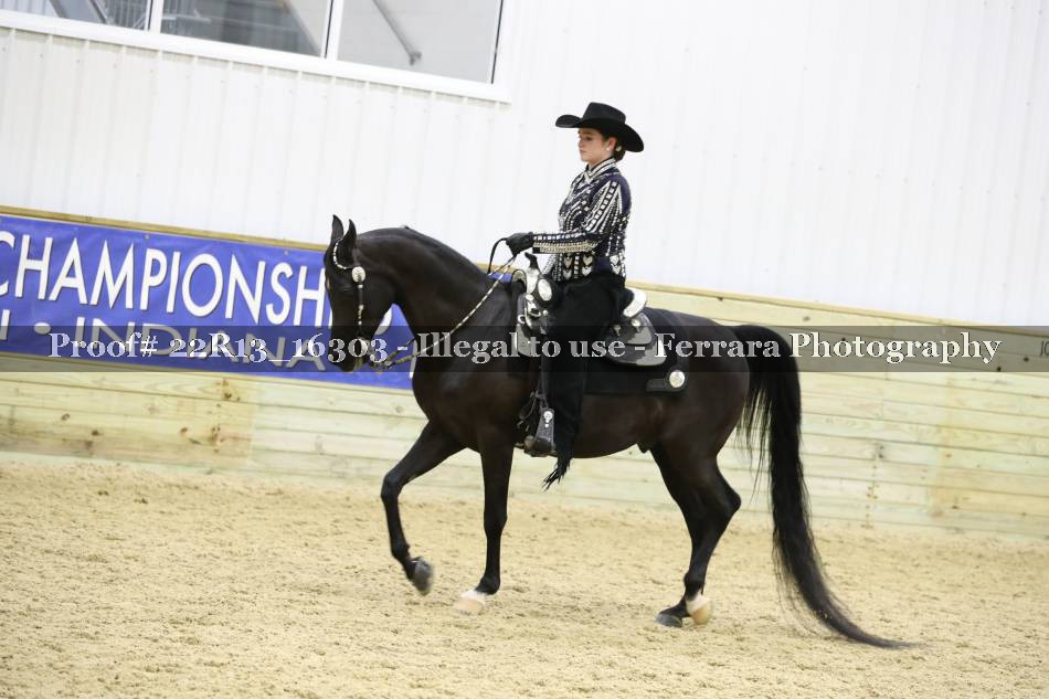 Proof 22R13_16303