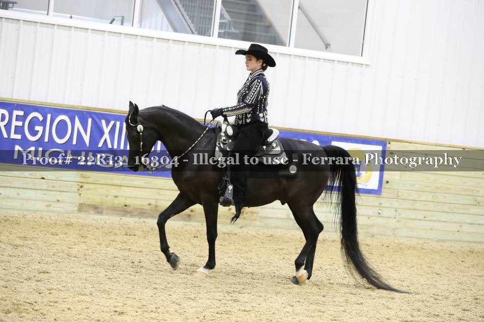 Proof 22R13_16304