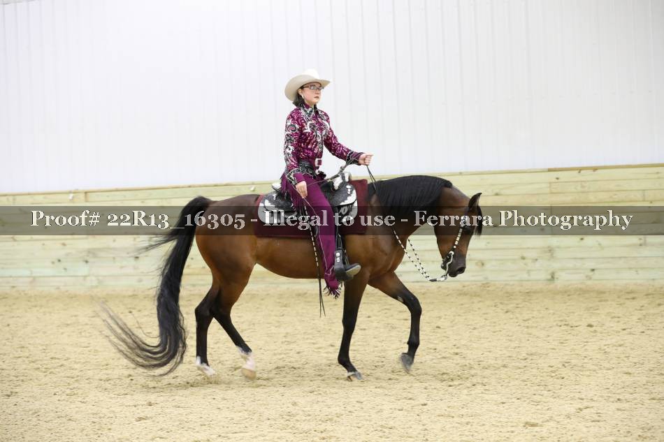 Proof 22R13_16305