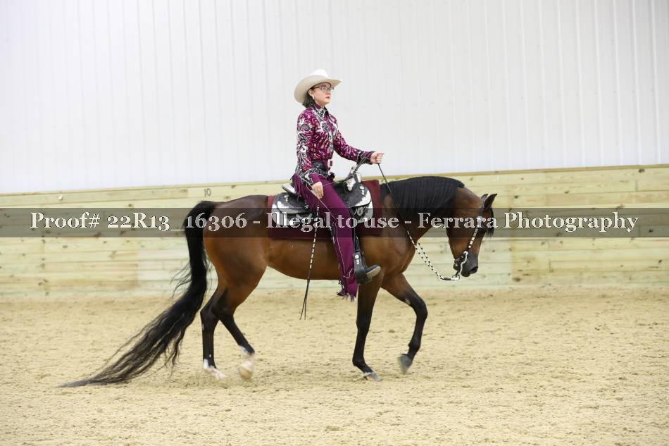 Proof 22R13_16306