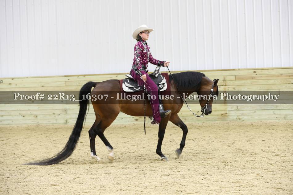 Proof 22R13_16307
