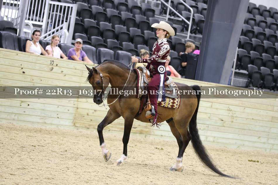 Proof 22R13_16317
