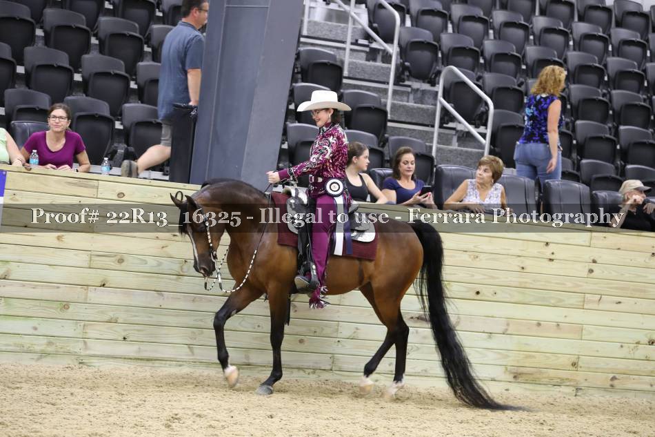 Proof 22R13_16325