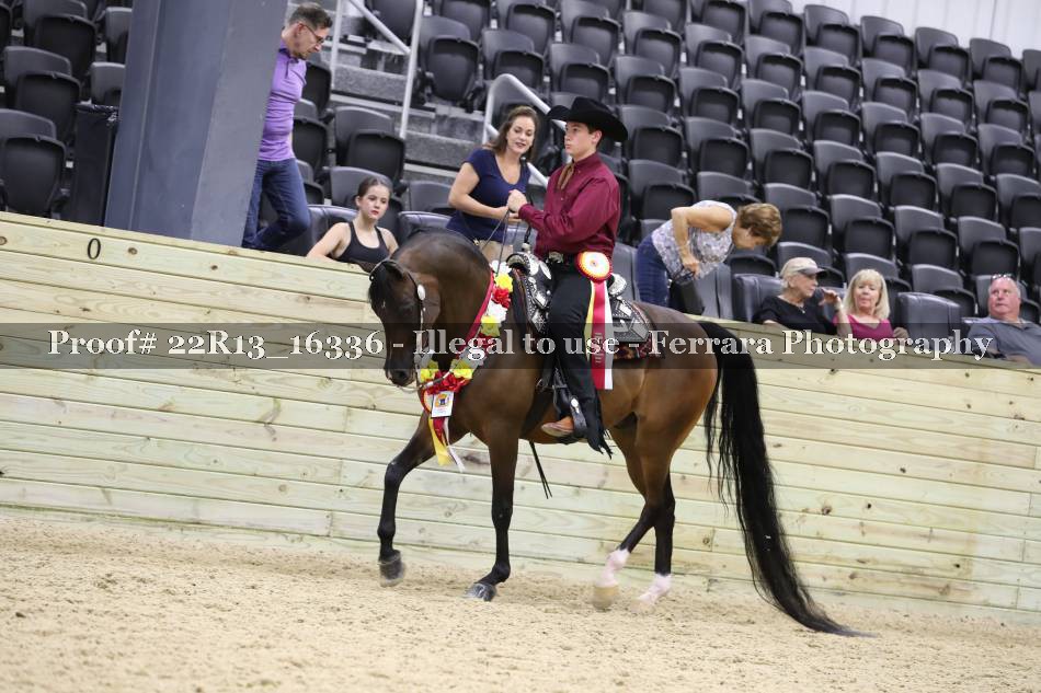 Proof 22R13_16336