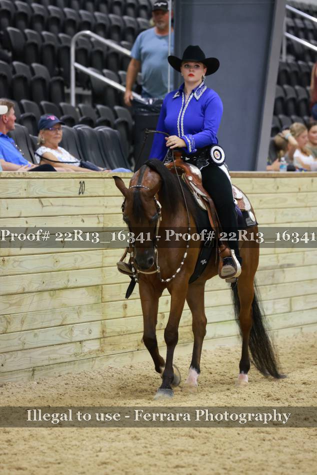 Proof 22R13_16341