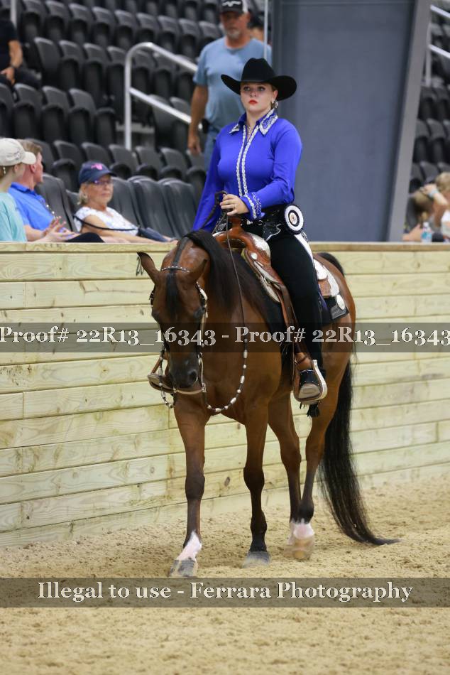 Proof 22R13_16343