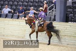22R13_16353 proof