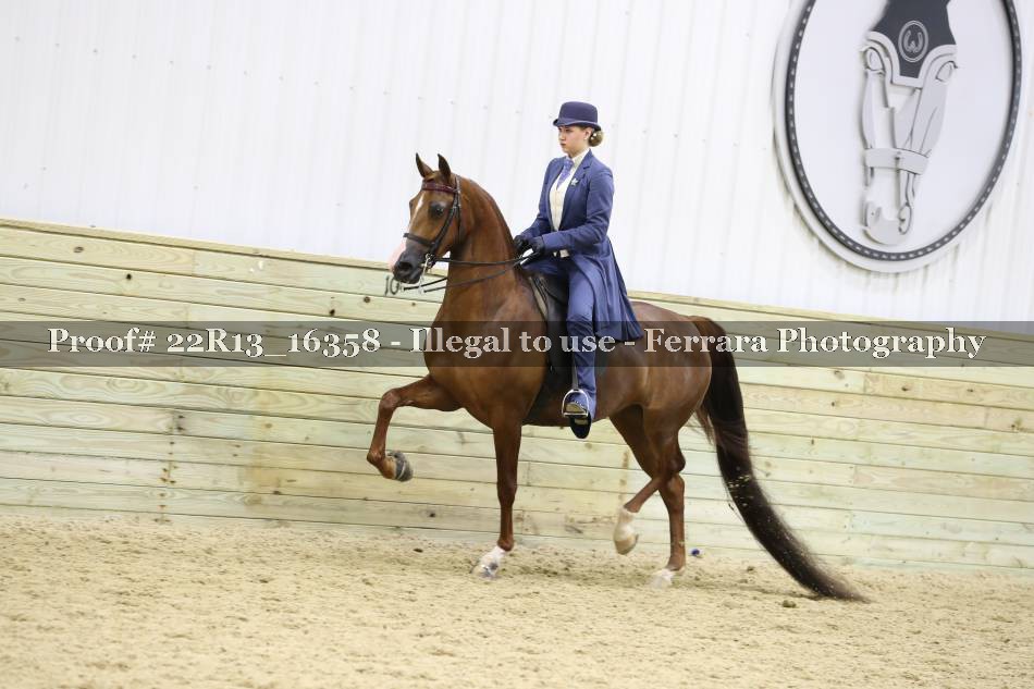 Proof 22R13_16358