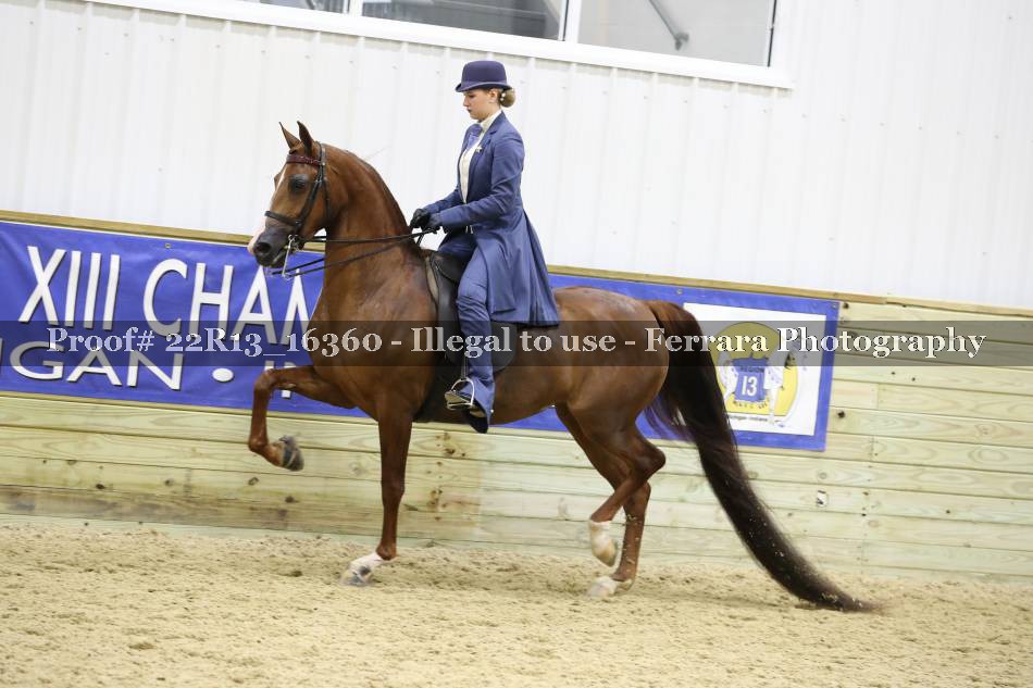 Proof 22R13_16360