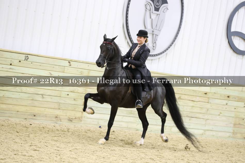 Proof 22R13_16361