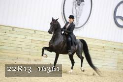 22R13_16361 proof
