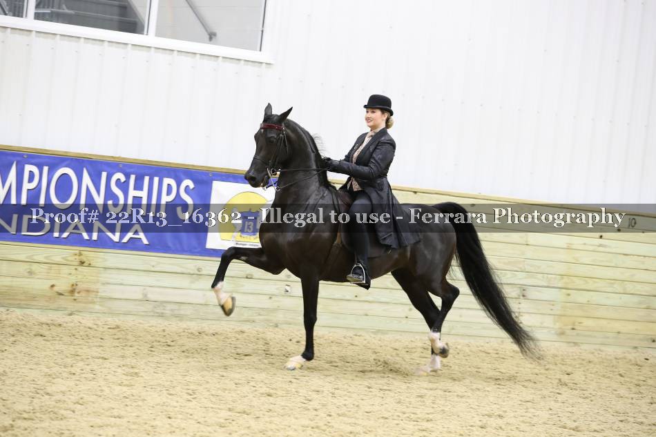 Proof 22R13_16362