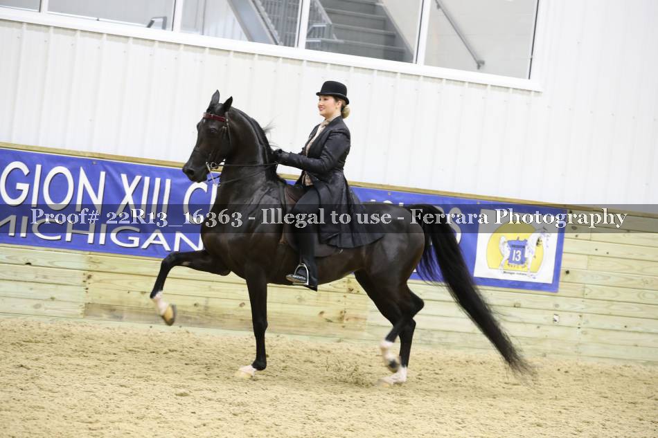 Proof 22R13_16363