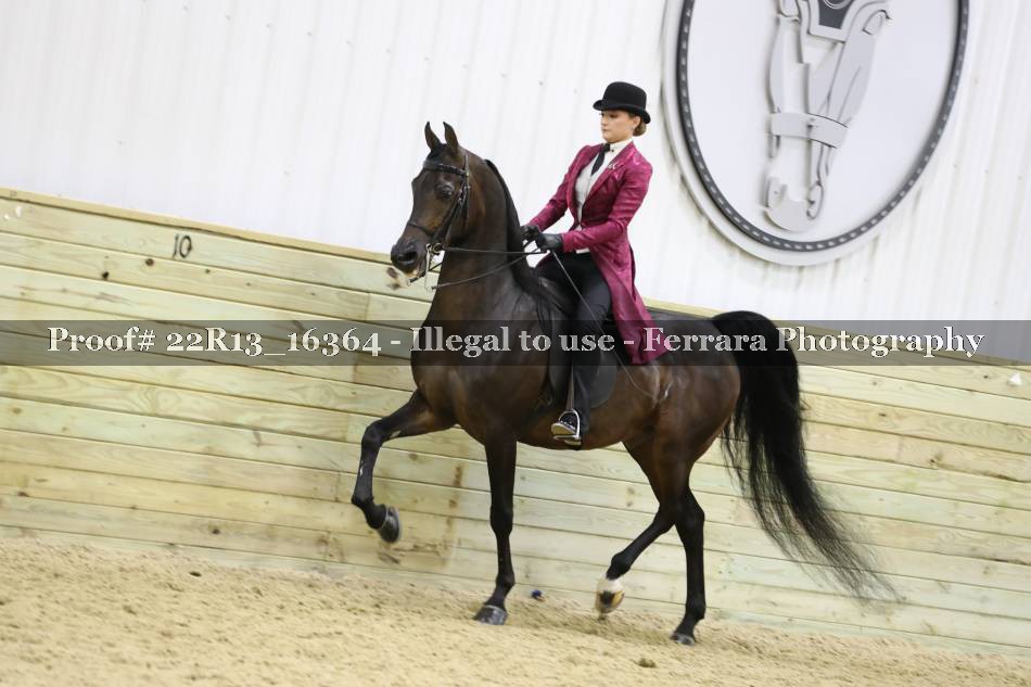 Proof 22R13_16364