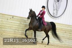 22R13_16364 proof