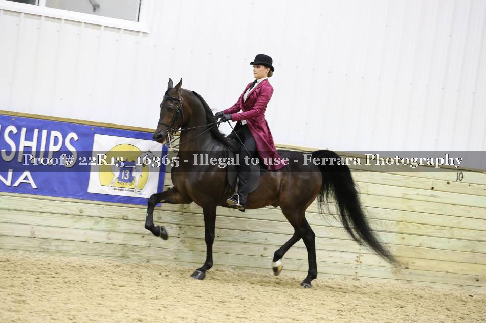 Proof 22R13_16365
