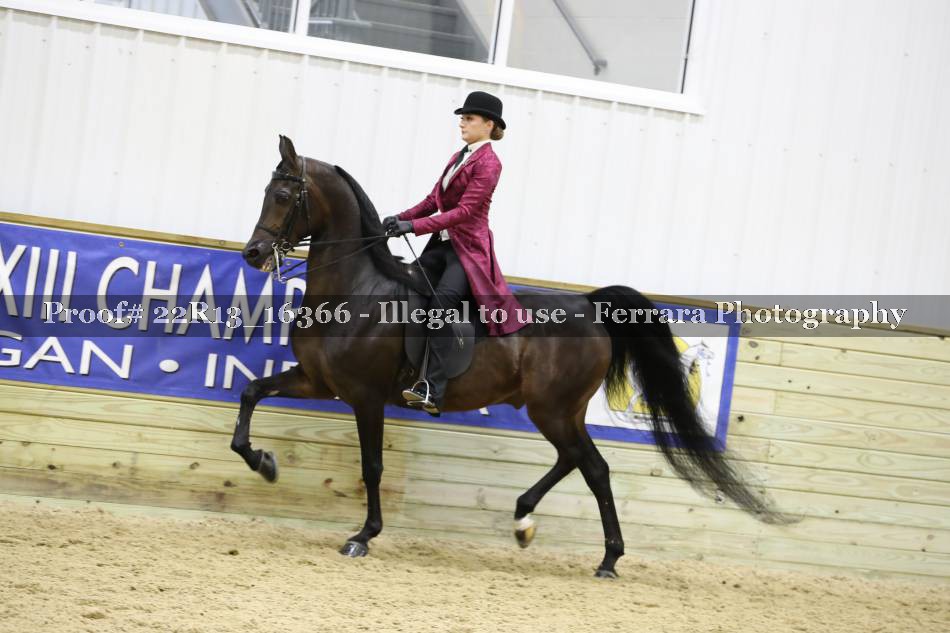 Proof 22R13_16366