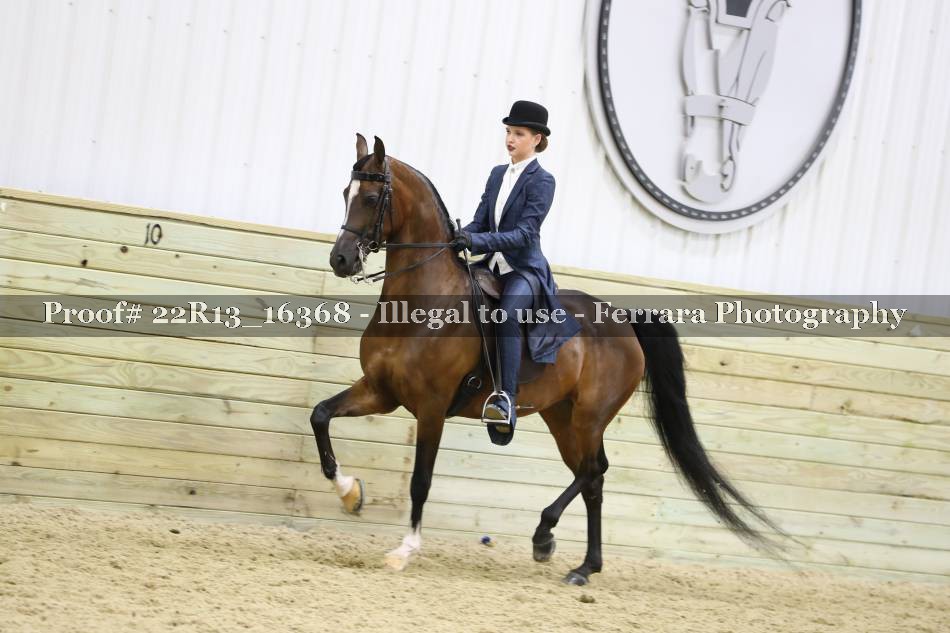 Proof 22R13_16368