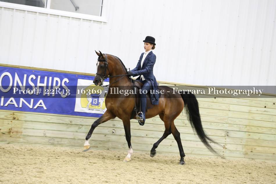 Proof 22R13_16369