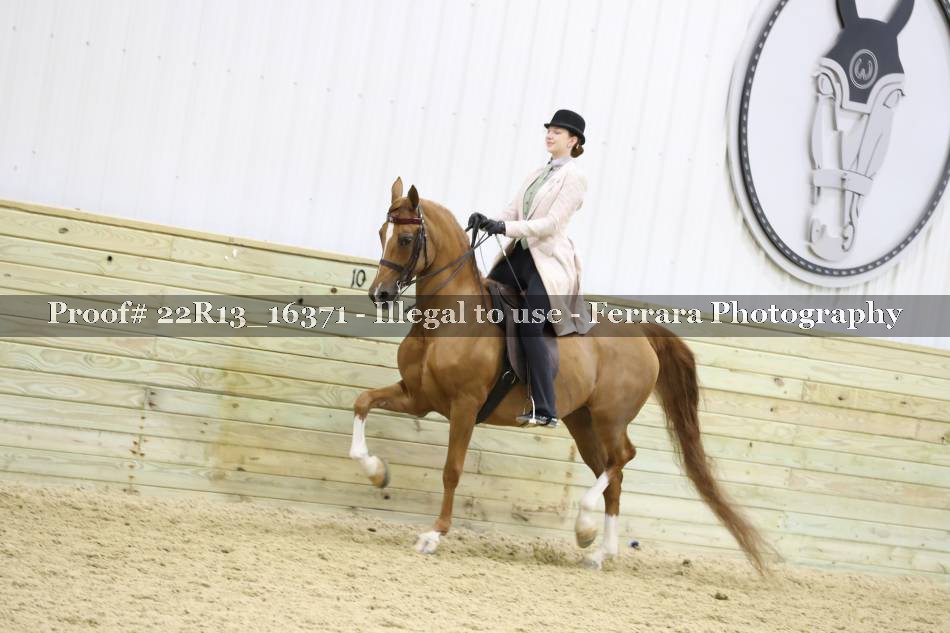 Proof 22R13_16371
