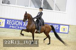 22R13_16374 proof