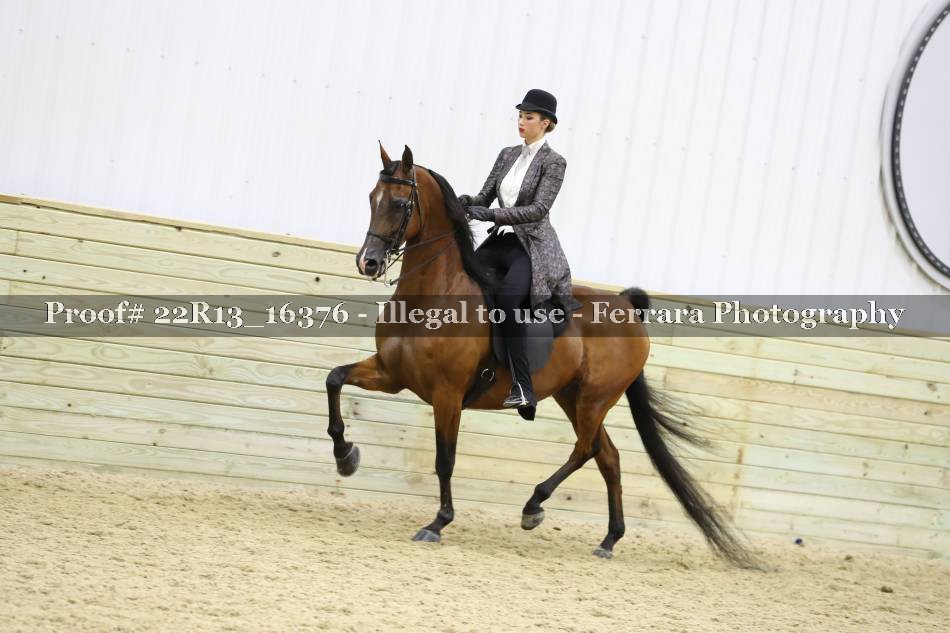 Proof 22R13_16376