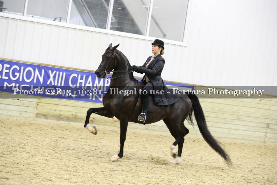 Proof 22R13_16381