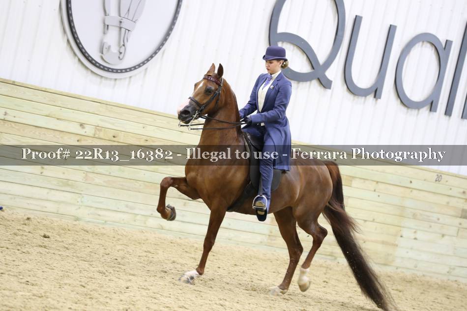 Proof 22R13_16382