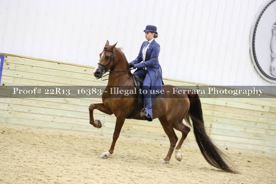 Proof 22R13_16383