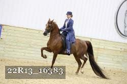 22R13_16383 proof