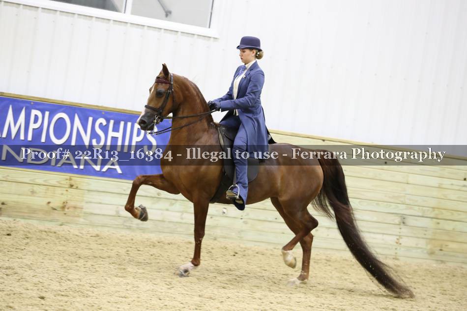 Proof 22R13_16384