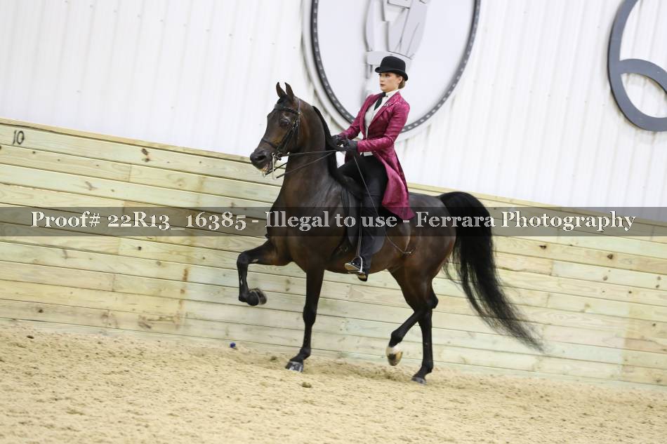Proof 22R13_16385