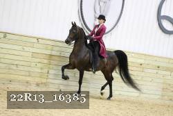 22R13_16385 proof