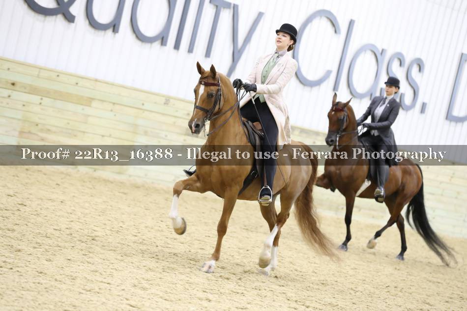 Proof 22R13_16388