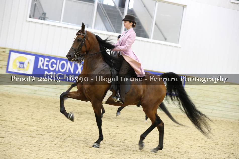 Proof 22R13_16390