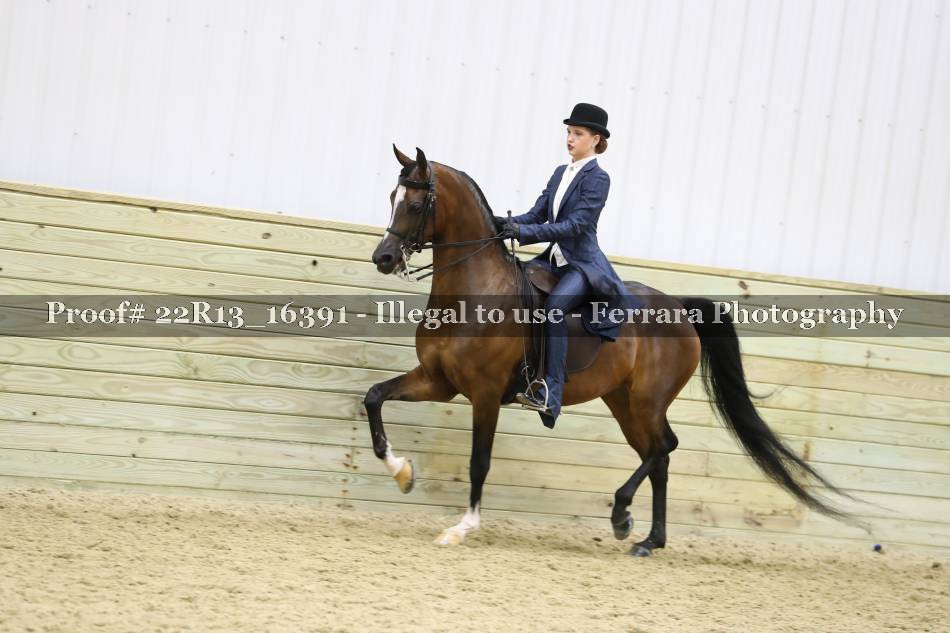Proof 22R13_16391
