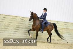 22R13_16391 proof