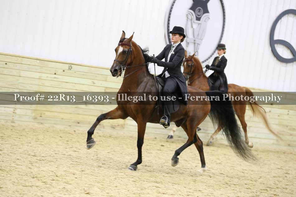 Proof 22R13_16393