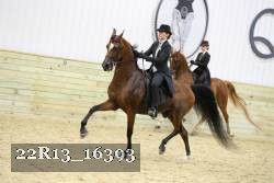 22R13_16393 proof