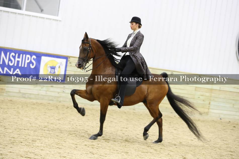 Proof 22R13_16395