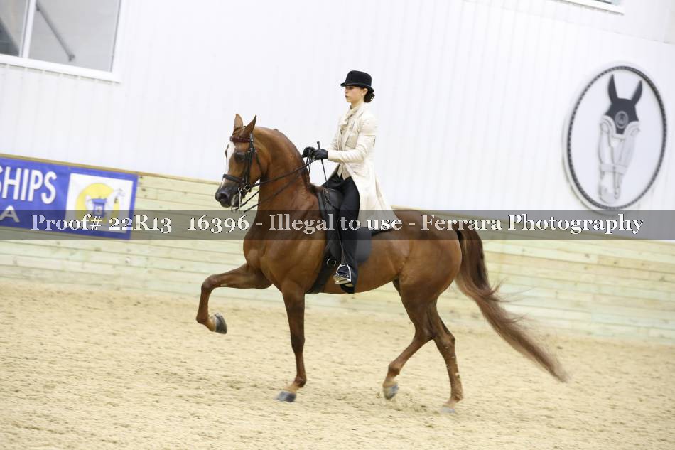 Proof 22R13_16396