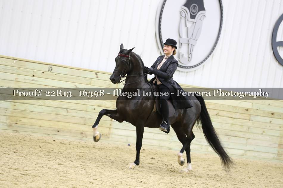 Proof 22R13_16398