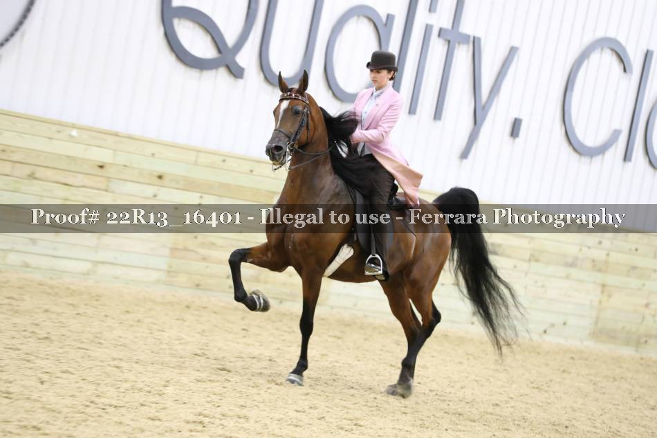 Proof 22R13_16401