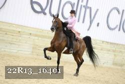 22R13_16401 proof