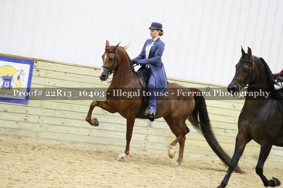 Proof 22R13_16403